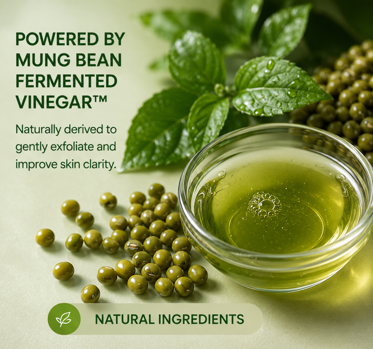 Beplain Mung Bean Sebum Softener Set | Blackhead & Pore Clearing Kit